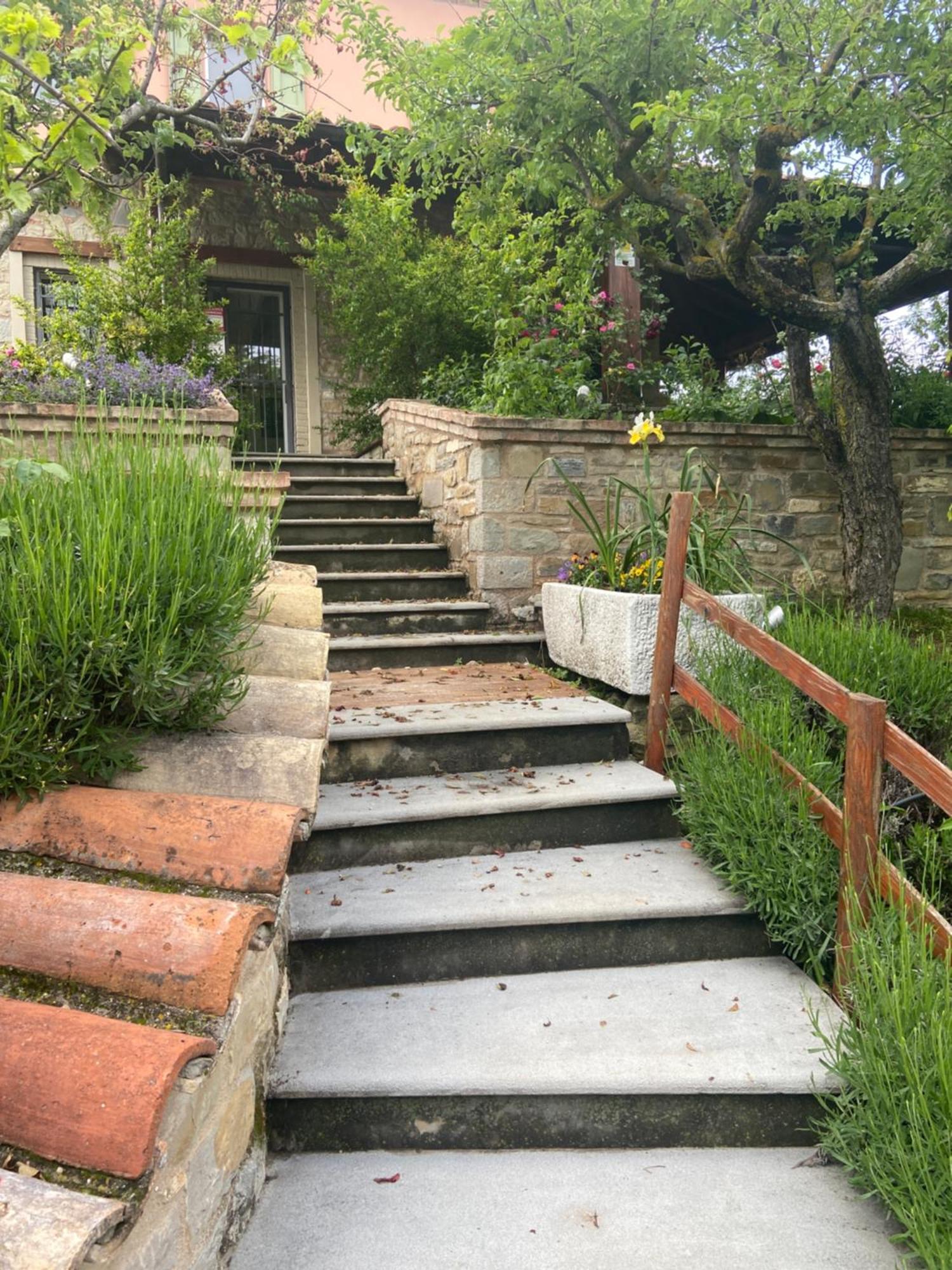 Agriturismo I Tassoni Villa Павуло нел Фриняно Екстериор снимка