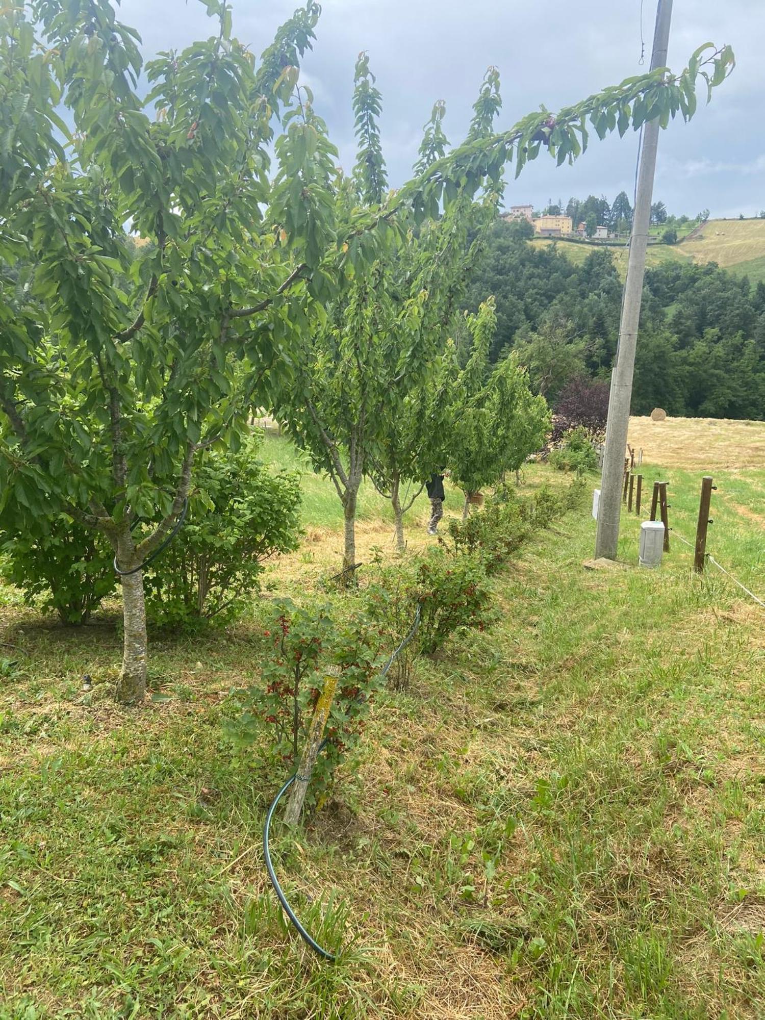 Agriturismo I Tassoni Villa Павуло нел Фриняно Екстериор снимка